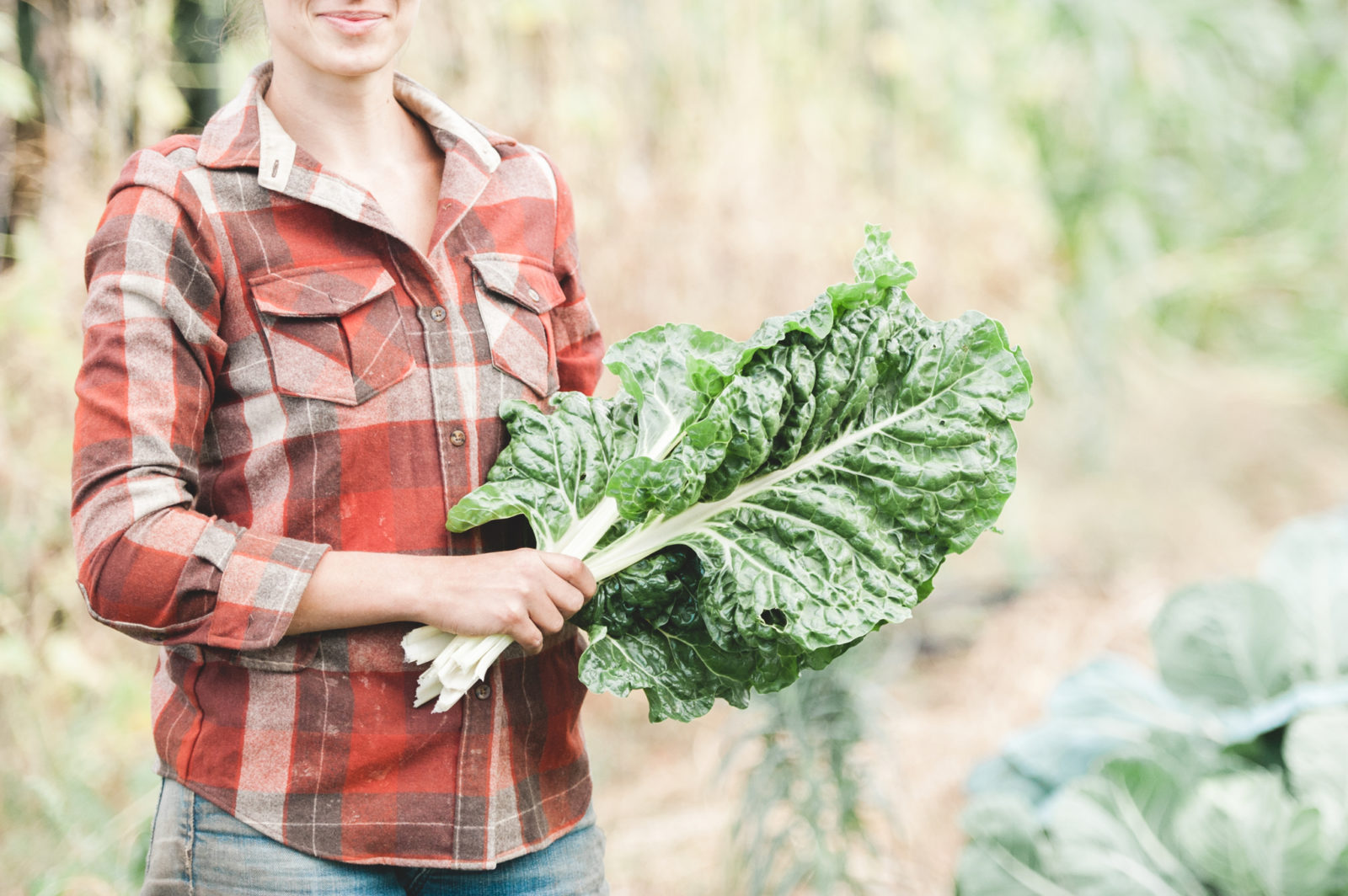 woman holding kale in garden